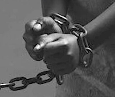 fc6fee4b-6b7a-5ea7-9e53-e1169e5531f6