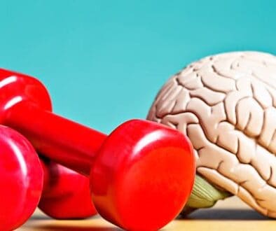 file-20260122-86-kr62wd