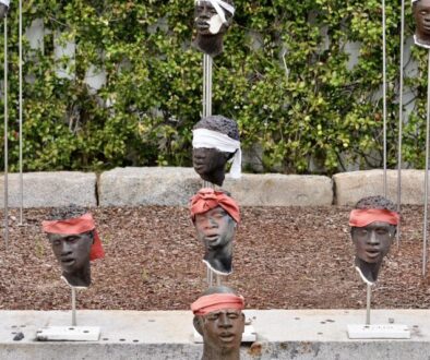 52013993773_9bf9940151_k-800x533