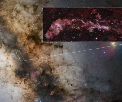 Location-of-the-Central-Molecular-Zone-in-the-Milky-Way