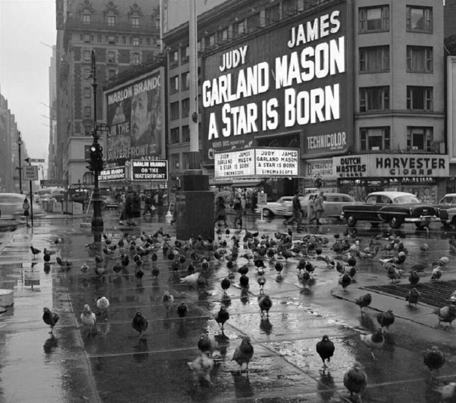 Family Finds a Stunning Album of Lost Photos of 1950s New York – Flashbak