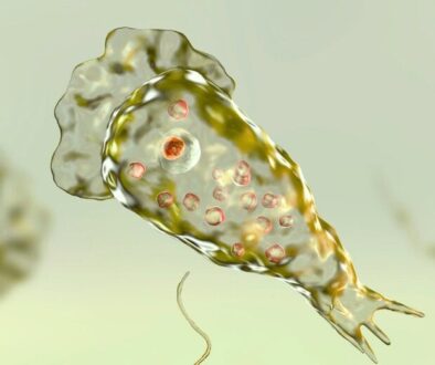 brain_eating_amoeba_header