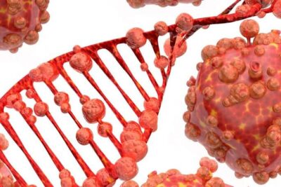 file-20260130-56-uhzr3d