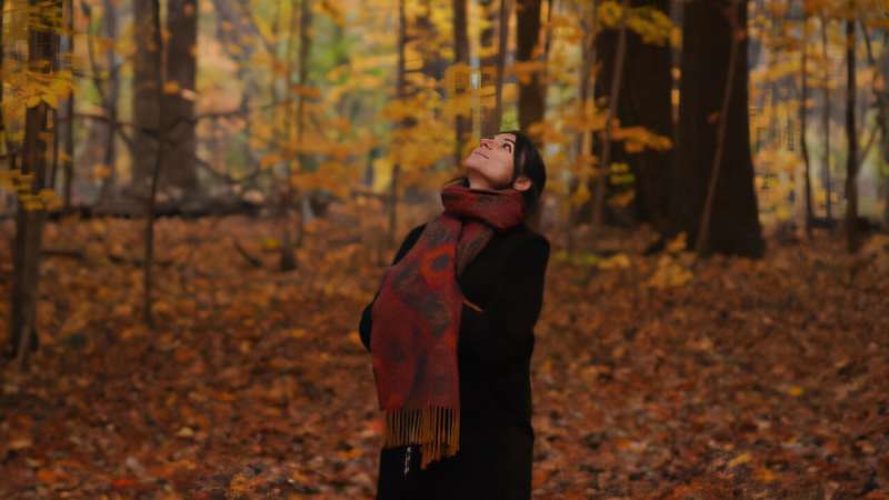 How stepping into nature affects the brain