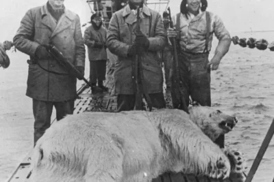 sailors-of-the-german-submarine-u-601-pose-next-to-a-dead-v0-h4mbcpekw8hg1