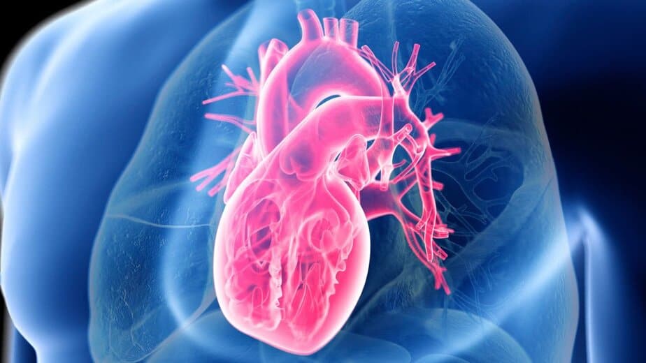 Giant Study Reveals The Secret to Heart Health, And Its Not Low-Carb or Low-Fat : ScienceAlert