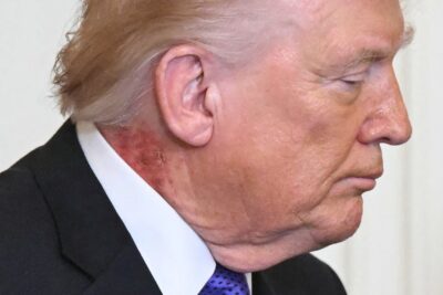 Donald Trump’s Presidency Is in Free Fall The New Republic