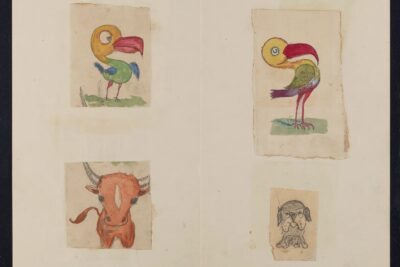 Charles Darwin Drawings and Doodles – Flashbak