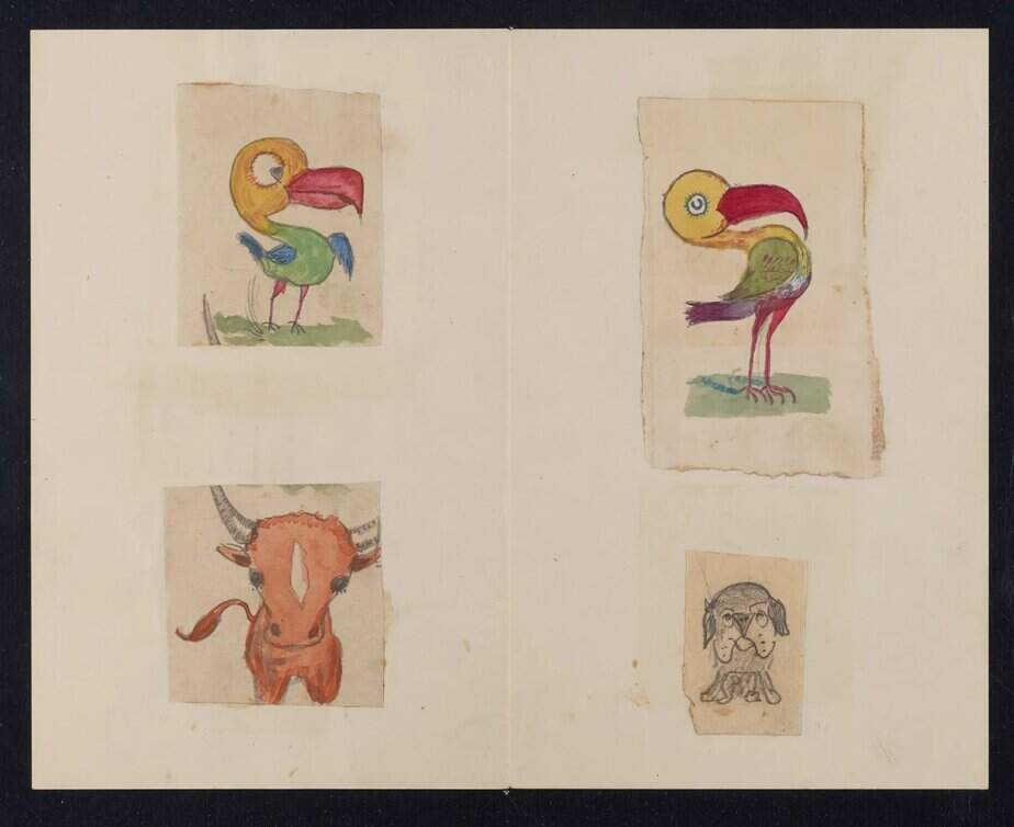Charles Darwin Drawings and Doodles – Flashbak