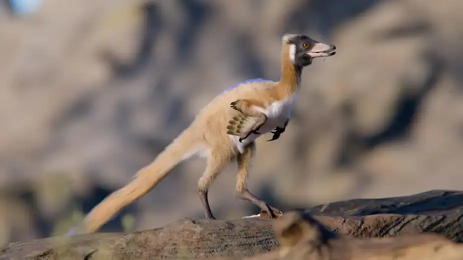 This 2-pound dinosaur is rewriting what scientists know about evolution