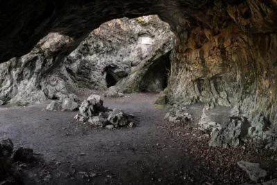 How Did Neanderthal “Homes” Differ From Those Of Modern Humans? Statistical Analysis Reveals How Our Ancestors Out-Organized Them IFLScience