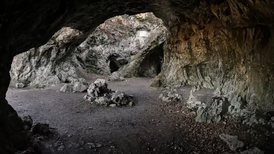 How Did Neanderthal “Homes” Differ From Those Of Modern Humans? Statistical Analysis Reveals How Our Ancestors Out-Organized Them IFLScience