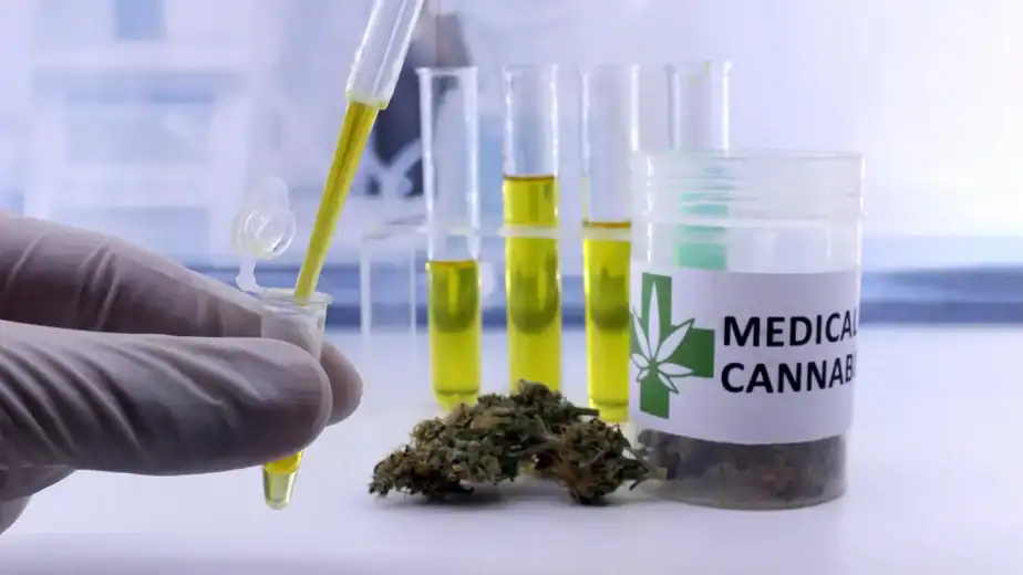 Scientists reveal the real benefits and hidden risks of medical cannabis ScienceDaily