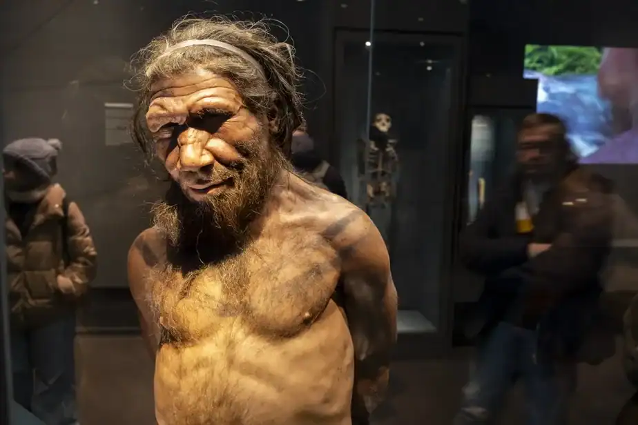 Neanderthal Men May Have Often Hooked Up With Human Women Thousands of Years Ago