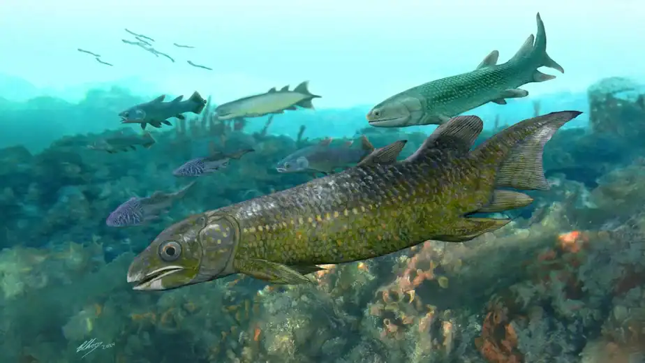 400 million-year-old fish fossils reveal how life began moving onto land