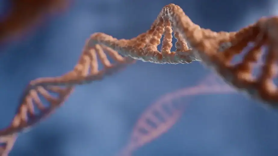 Could We Live Forever? Breakthroughs in Human Longevity Research – discoverwildscience