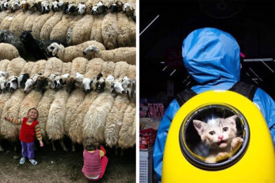 From Street Scenes To Funny Animals: 33 Must-See Photos