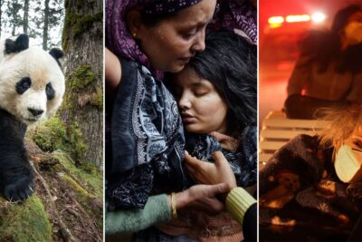Over 70 Powerful Winners From the 2026 World Press Photo Contest PetaPixel