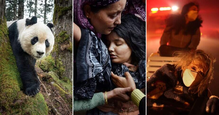 Over 70 Powerful Winners From the 2026 World Press Photo Contest PetaPixel