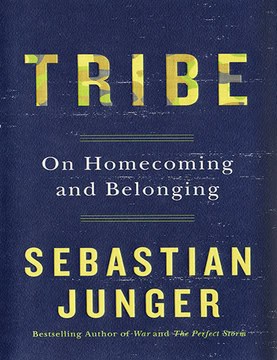 TRIBE by Sebastian Junger  a summary