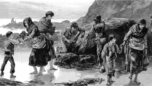 Ireland’s Great Famine, also called the Great Hunger or the Irish Potato Famine