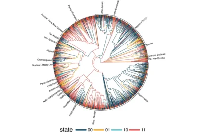 Study of 1,700 languages reveals surprising hidden patterns