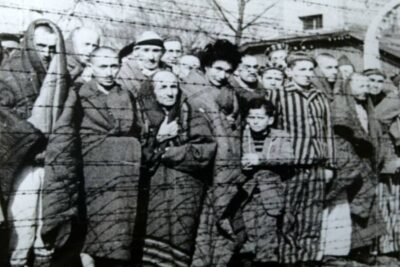 Portraits from the concentration camps