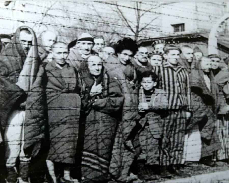 Portraits from the concentration camps