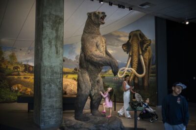The La Brea Tar Pits Have Been Sucking in Visitors for Millennia. Paleontologists Are Still Finding Out What Lies Within the Ooze