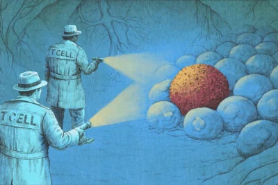 ‘It’s incredible, like science fiction’: How a new wave of immunotherapy is eliminating cancers