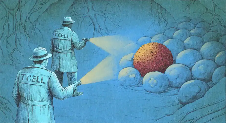 ‘It’s incredible, like science fiction’: How a new wave of immunotherapy is eliminating cancers