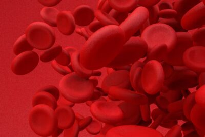 Scientists Found a Way to Make Old Blood Young Again