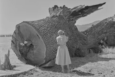 Dorothea Lange’s Unseen Photos of Doomed Town That’s Now Underwater Digitized by UC