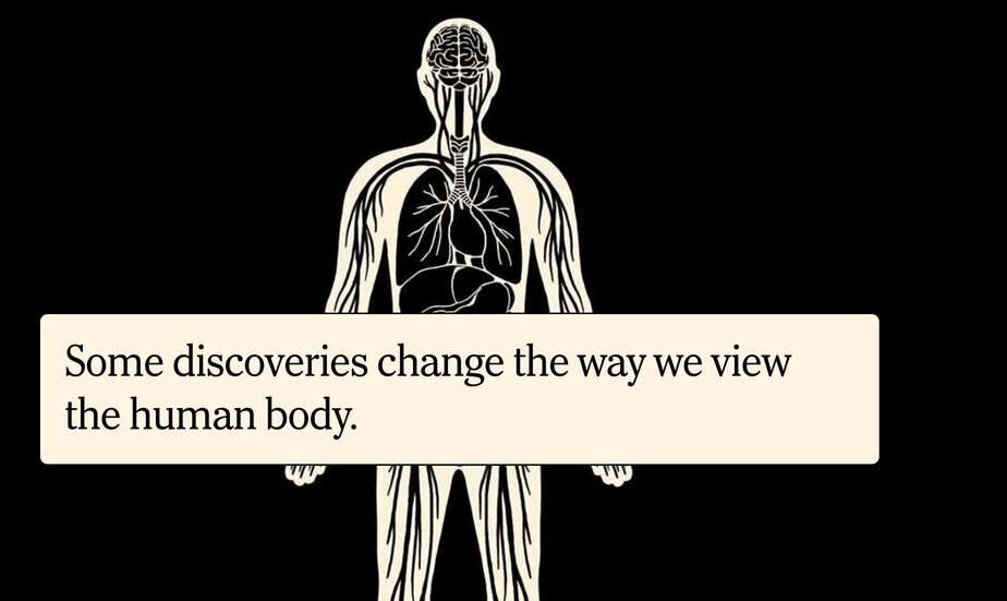Inside the Interstitium, the Human Body’s Hidden Pathways