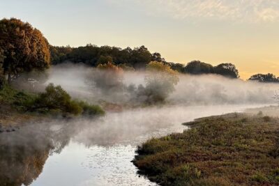 Thoreau the scientist – how environmental research informed ‘Walden’ and later works