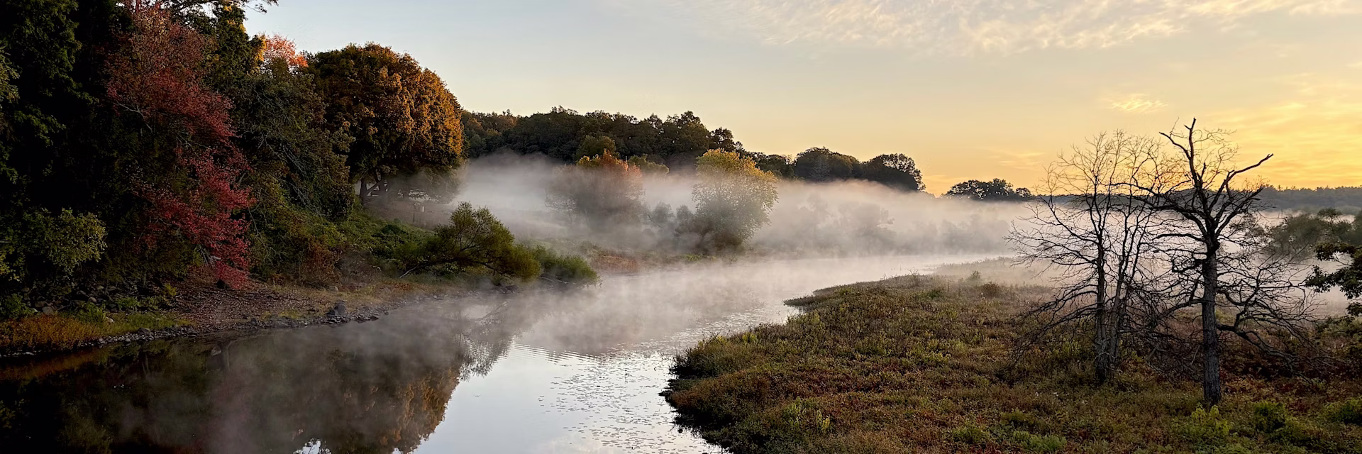 Thoreau the scientist – how environmental research informed ‘Walden’ and later works