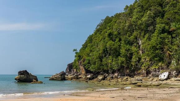 The Real-Life Teenage Castaways Who Proved “Lord of the Flies” Wrong