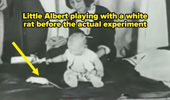 10 Disturbing Psychological Experiments That Were Actually Conducted, And I Swear, These Are What Nightmares Are Made Of