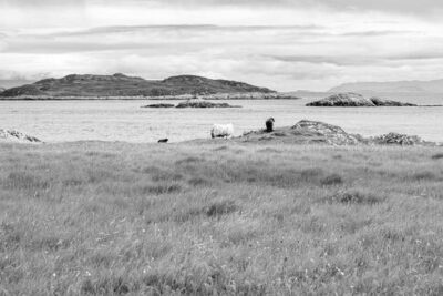 A Secret World War II Research Island, and the Extreme Experiments Conducted There