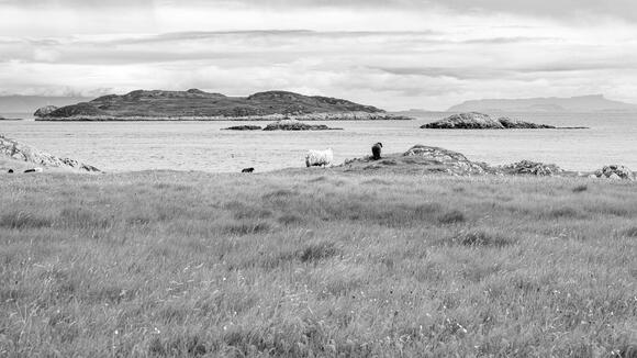 A Secret World War II Research Island, and the Extreme Experiments Conducted There