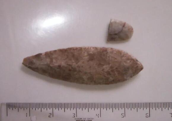 The First Americans: Uncovering the Deep Roots of Human History