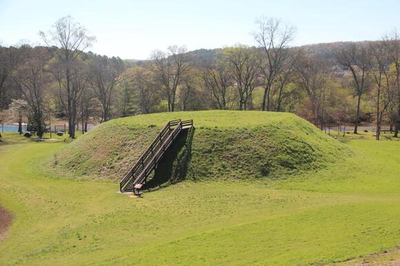 The Forgotten Mounds of Georgia: What Do They Tell Us About Early Native American Societies?