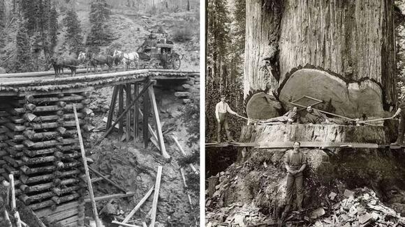 35 Vintage Photos from the Late 1880s
