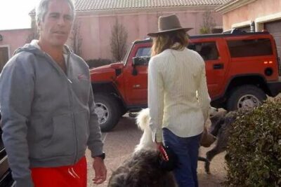 Epstein reporter ‘fleeing the country’ as home becomes target of alleged ‘attacks’