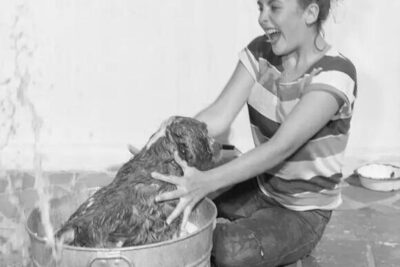 43 Rare Vintage Photos Of Old Hollywood That I Guarantee You Haven’t Seen Before