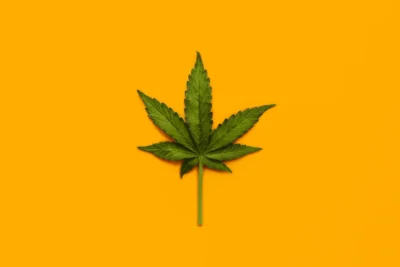 What we know—and what we don’t—about marijuana’s health effects