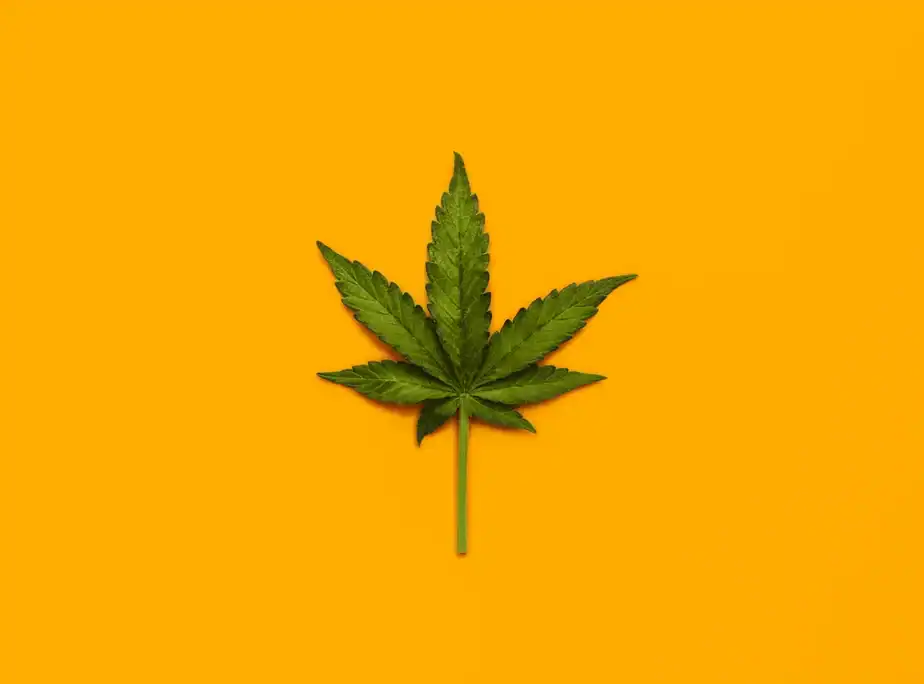 What we know—and what we don’t—about marijuana’s health effects
