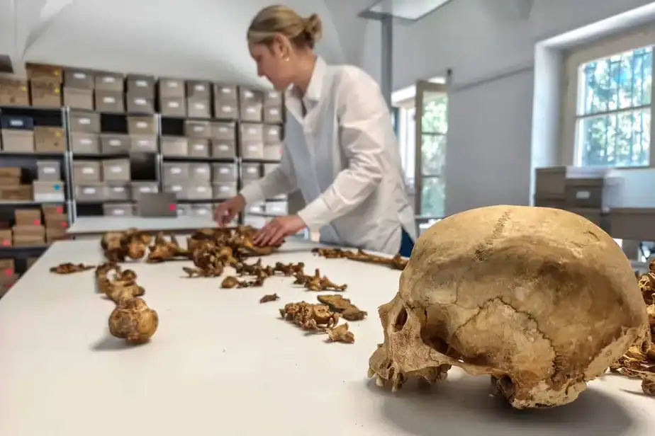 The Fall of the Roman Empire Was Less a Clash of Civilizations and More an Opportunity to Mix and Mingle, a New Genetics Study Shows