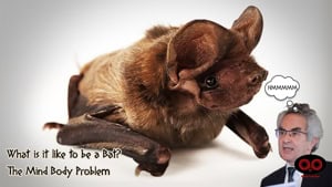 Thomas Nagel’s “What Is It Like to Be a Bat”