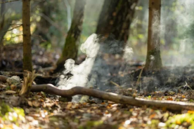 Electronic stickers turn forests into living fire alarms